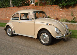 VW Beetle