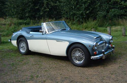 Austin Healey